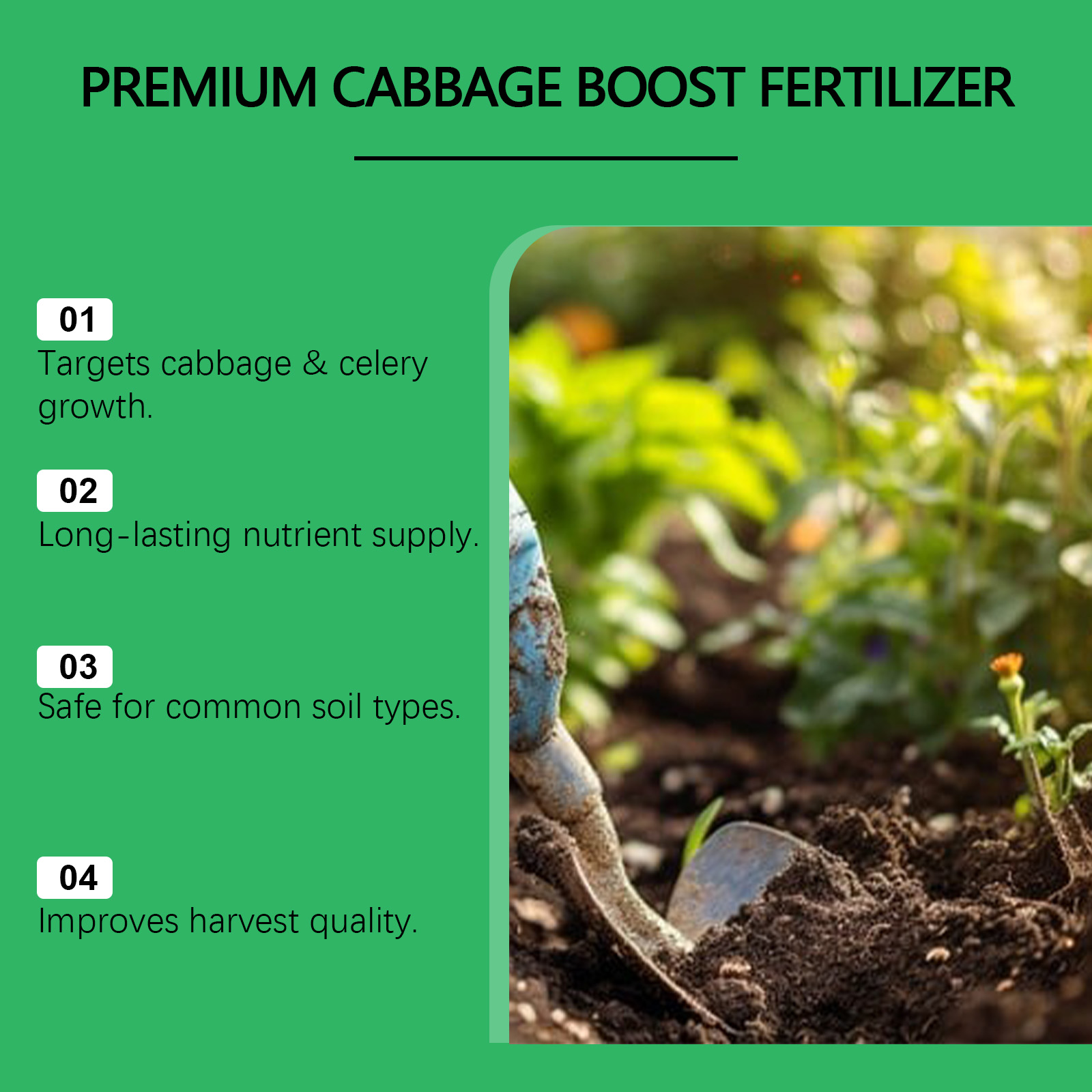 Indoor Outdoor Vegetable Growt - Nutrition & Fitness Class review and price