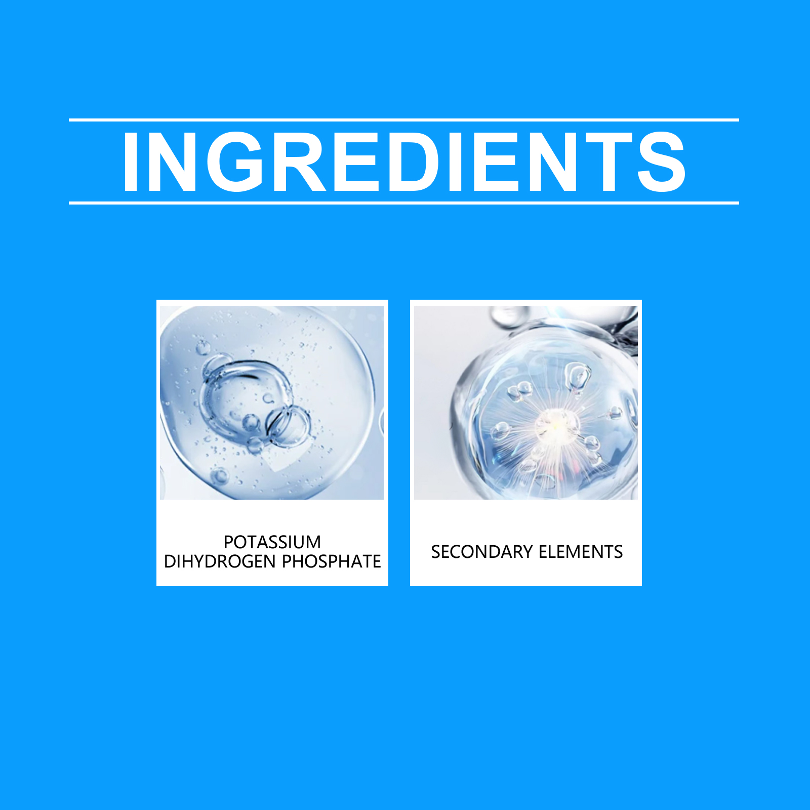 Flower Nutrient Solution Liqui - Nutrition & Fitness Class review and price